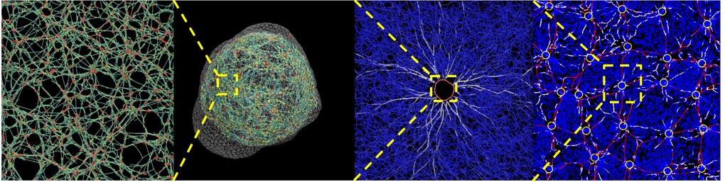 Read more: MCT Biomechanics Laboratory - Taeyoon Kim